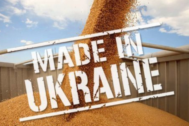 Європейські аграрії оголосили війну українському експорту