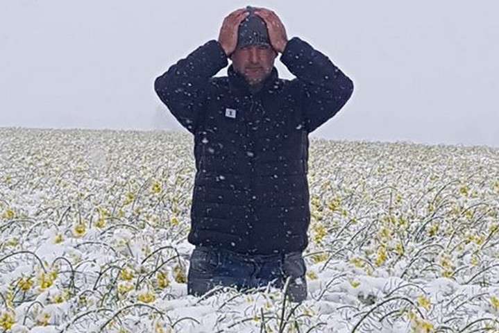 Польщу засипало снігом: фермери хапаються за голову (фото, відео)
