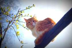 Сегодня День Якова: что запрещено делать, традиции и приметы