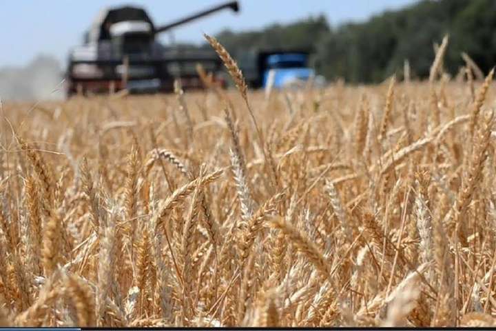 Уряд на підтримку аграріїв передбачив 1,2 млрд грн