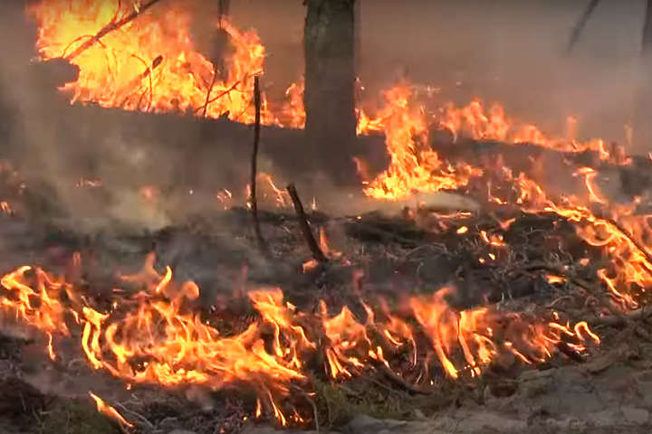 Лесные пожары в Чернобыльской зоне полностью ликвидированы