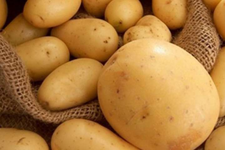 Поставщики объяснили, почему египетский молодой картофель дешевле украинского