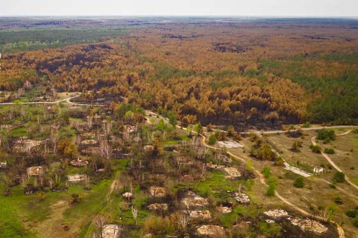 Післяпожежна експедиція Чорнобильською зоною: науковці оцінили масштаби трагедії (фото)