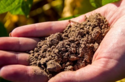 З  вересня до травня в Україні випало 70 % опадів від норми: 153 мм при нормі 211 мм, - метеорологи