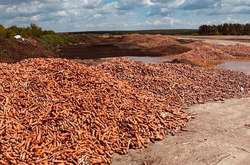 У мережі показали катастрофічні наслідки карантину для фермерів (відео)