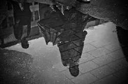 Грозові дощі пройдуть в деяких північних і східних областях