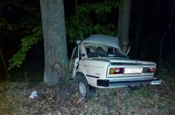 Водій автомобіля ВАЗ-21033 не впорався з керуванням і зіткнувся з деревом