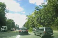 Дерево впало прямо перед автомобілем