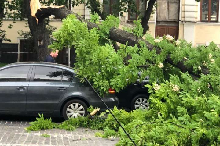Зламані дерева, зірвані дахи: вітер наробив шкоди в Києві (фото, відео)