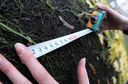 Під Києвом ділок підробив документи та привласнив понад 35 га землі