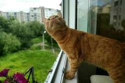 Якщо сьогодні падає дощ, то вересень буде сонячним і теплим