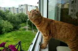 Если сегодня идет дождь, то сентябрь будет солнечным и теплым