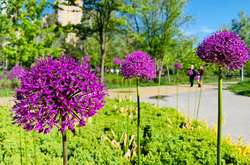 Парк  «Перемога» чекає на відвідувачів 