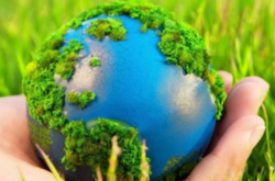 Реформа екоінспекції за рік повністю провалена - ексміністр