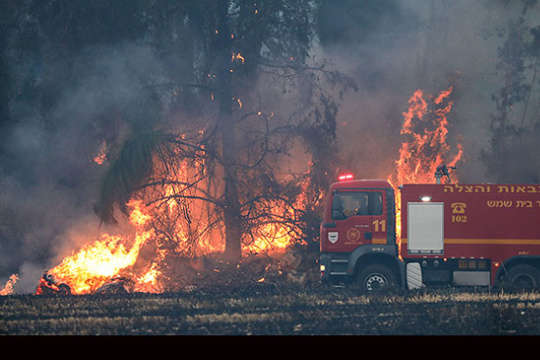 Аномальна спека в Ізраїлі спровокувала численні пожежі 