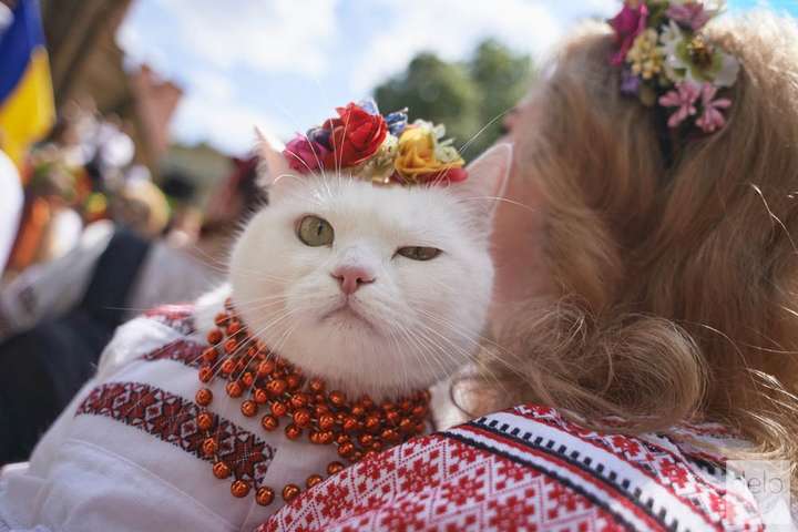 Украина сегодня празднует День вышиванки