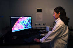 Вчені виявили головну причину невиліковного раку