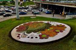 Зеленбудівці висаджують квіти у вигляді орнаментів