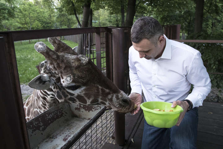 Київський зоопарк відкривається: Кличко показав, що там змінилося (фото, відео)