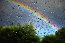 «Холодный» прогноз: синоптик сообщила погоду на выходные