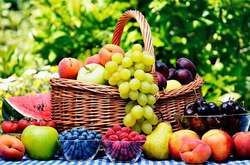 Коли почнеться збір нового урожаю, вартість фруктів суттєво впаде