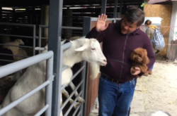 Друзья Зеленского в зоопарке: Богдан без маски нарушил безопасную дистанцию в общении с козой