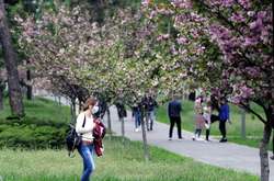  У МОЗ назвали області, які не готові перейти до послаблення карантинних заходів 