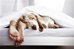 10 опасных заблуждений о сне