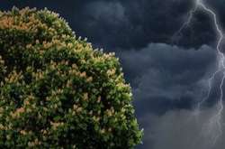 Штормове попередження: на Україну насувається буревій 