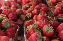 Клубника в Украине резко подешевела