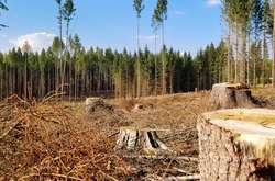 Викриті співробітниками СБУ оборудки завдали збитки державі на майже 7 мільйонів гривень