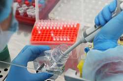 Ученые сообщили, для кого особенно опасен коронавирус