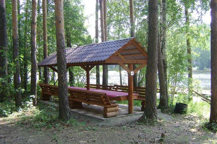 Київ облаштував 41 зону відпочинку на території міських лісів