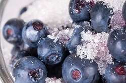 Україна стала головним постачальником замороженої чорниці до Китаю