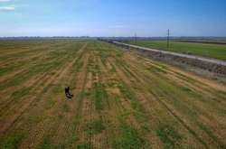 Чиновник: збитки аграріїв від посухи можуть сягнути 15 млрд грн