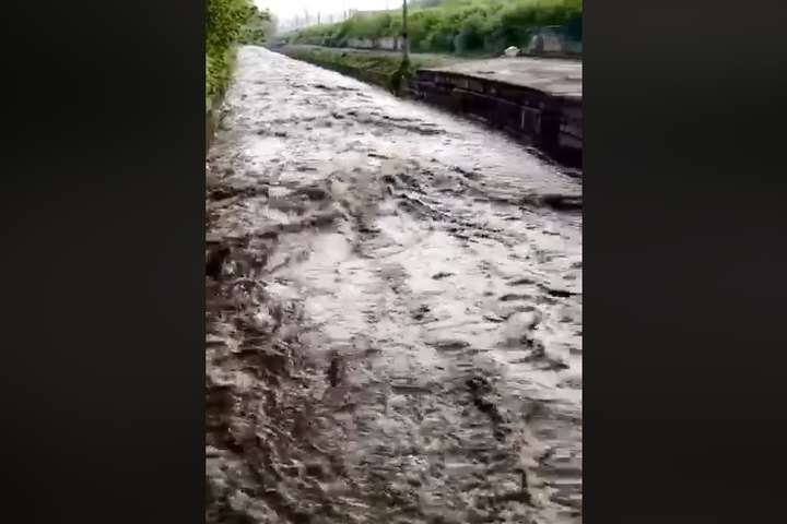 Після сильних дощів річка Либідь перетворилася на бурхливі потоки (відео)