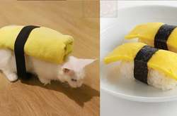 Фото смешных косплеев из подручных средств