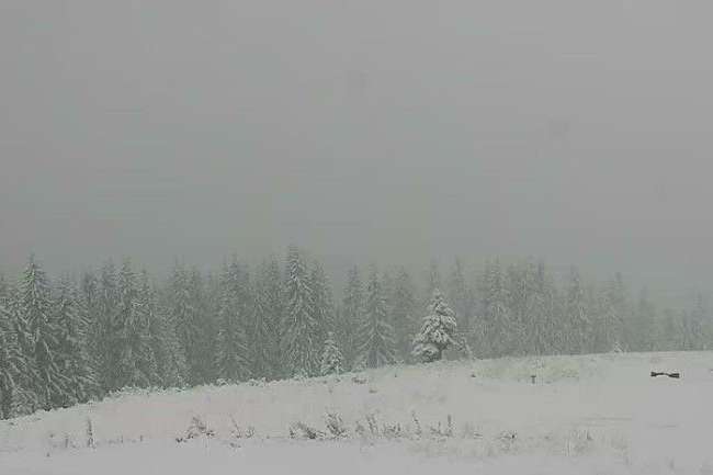 Карпати сьогодні знову засипає снігом (фото)
