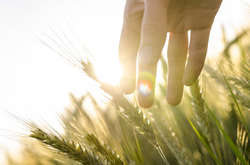 В Україну йде потепління