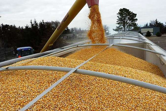 З початку сезону експорт українського зерна збільшився на 16%