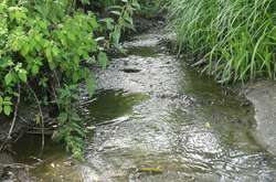 У Києві на розчистку струмка виділили 1 млн грн, але їх привласнили підприємці