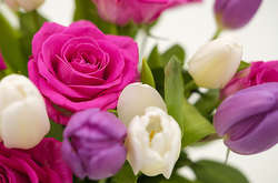 Вже висаджено близько 2 000 квітів