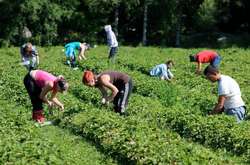 З України до Польщі вилетіло два чартери із заробітчанами