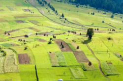 Розпаювання підлягають сільськогосподарські і несільськогосподарські угіддя, що належать держпідприєству