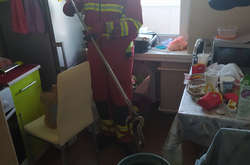 В квартиру на седьмом этаже в Днепре заползла змея (видео)