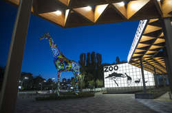 ДАБІ не дала дозвіл на третю чергу реконструкції Київського зоопарку