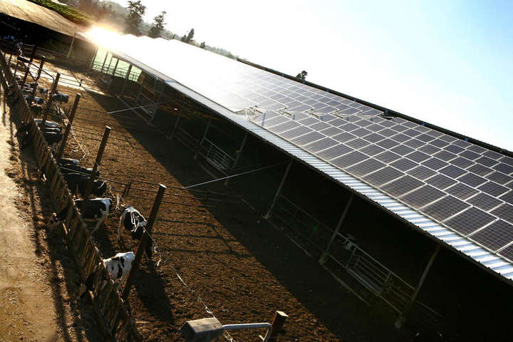 Уряд Ізраїлю планує зробити сонячні електростанції на дахах обов’язковими