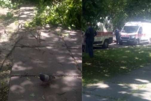 У Києві дерево впало на людей: постраждала іноземка (фото)