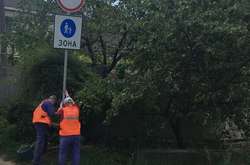 У пішохідні зоні встановлено відповідні дорожні знаки