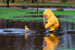 Выходные на этой неделе, по прогнозам синоптиков, будут прохладными